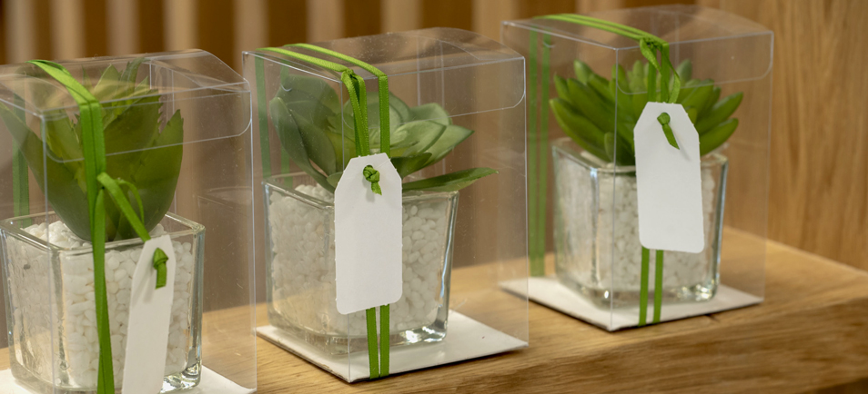 Transparent box - Packaging Design