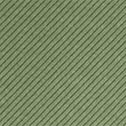 Linea verde