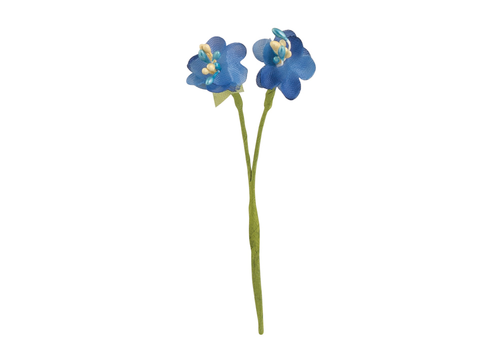 Fiorellini azzurri